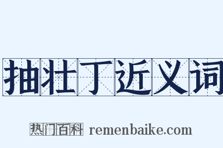 抽壮丁近义词是什么意思的图片